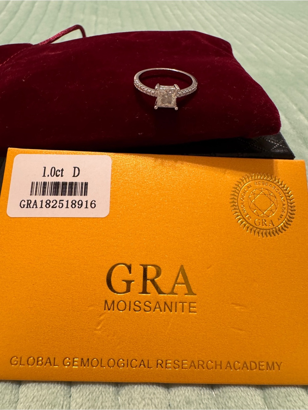 GRA Moissanite 1.0ct D Princess-Cut Solitaire Ring in Silver